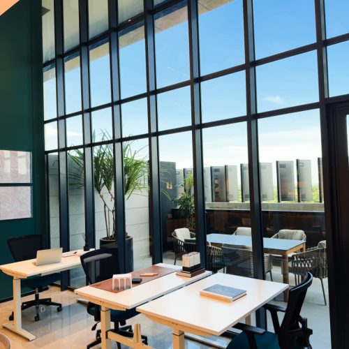 WhatsApp Image 2025-11-30 at 14.50.49